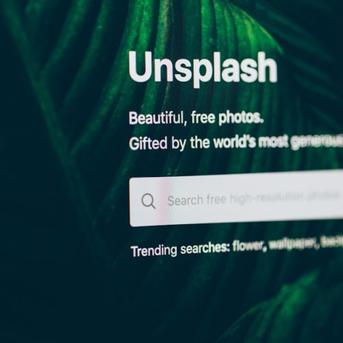 Website Design Support Tips